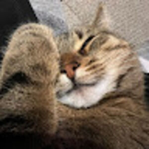 Meet your Posher, Amal